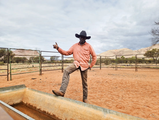 Aaron Pei Pie | Animals in My Place