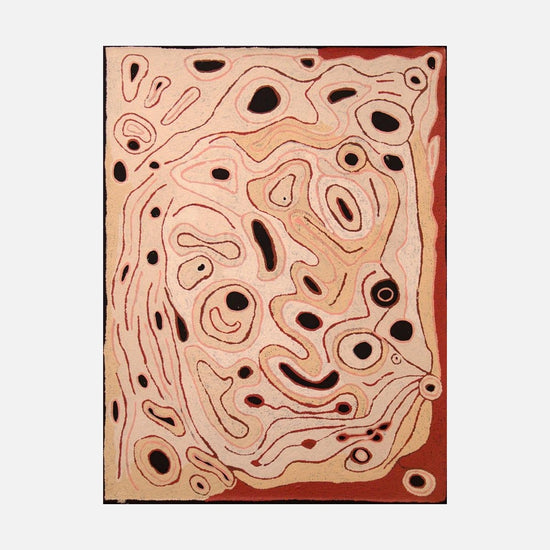 Kapi Tjukurrpa