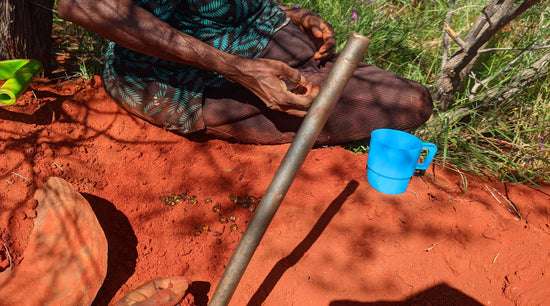 A photo of an Indigenous person digging for ants in the red earth.