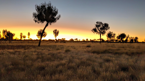 Landscape featuring the sunset outside tjukurla